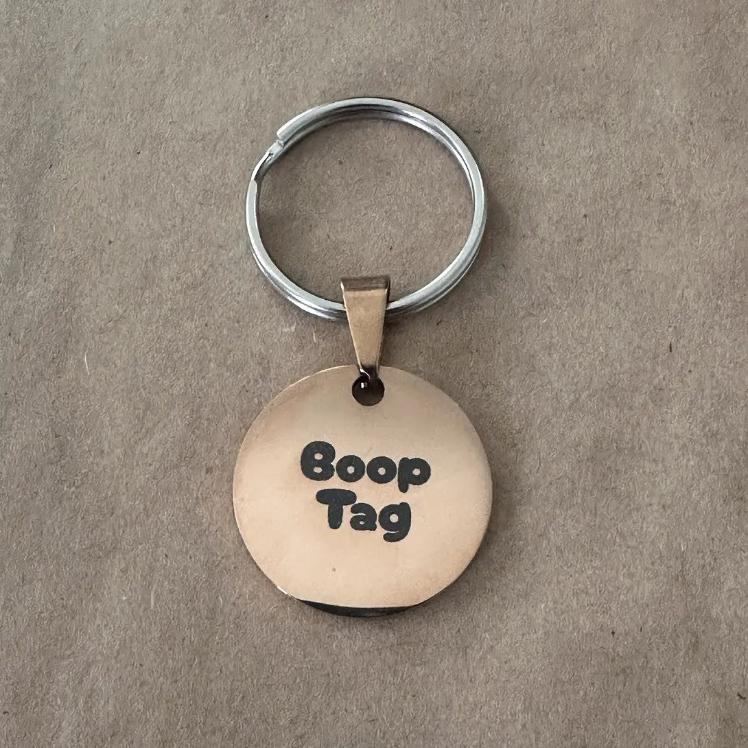 Boop Tag - Stainless Steel, Smart Qr Pet Tag