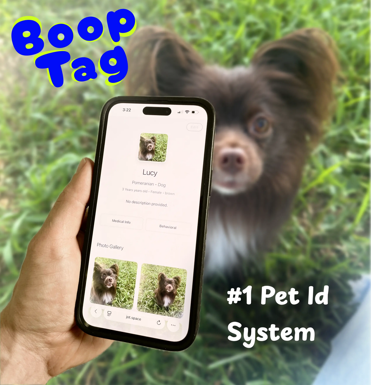 Boop Tag - Stainless Steel, Smart Qr Pet Tag