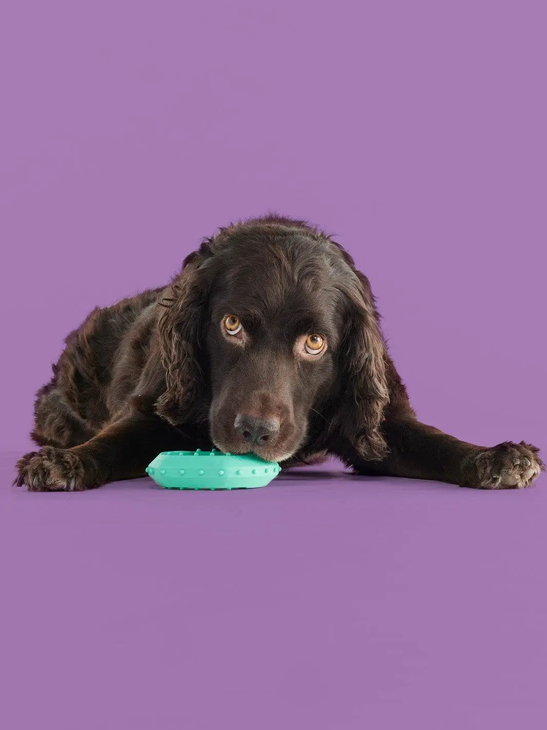 Yomp Chillchew Freezable Dog Toy – Cooling Chew Toy for Soft and Medium Chewers, Ideal for Frozen Treats and Teething – Crafted from Pet-Safe, Non-Toxic Silicone