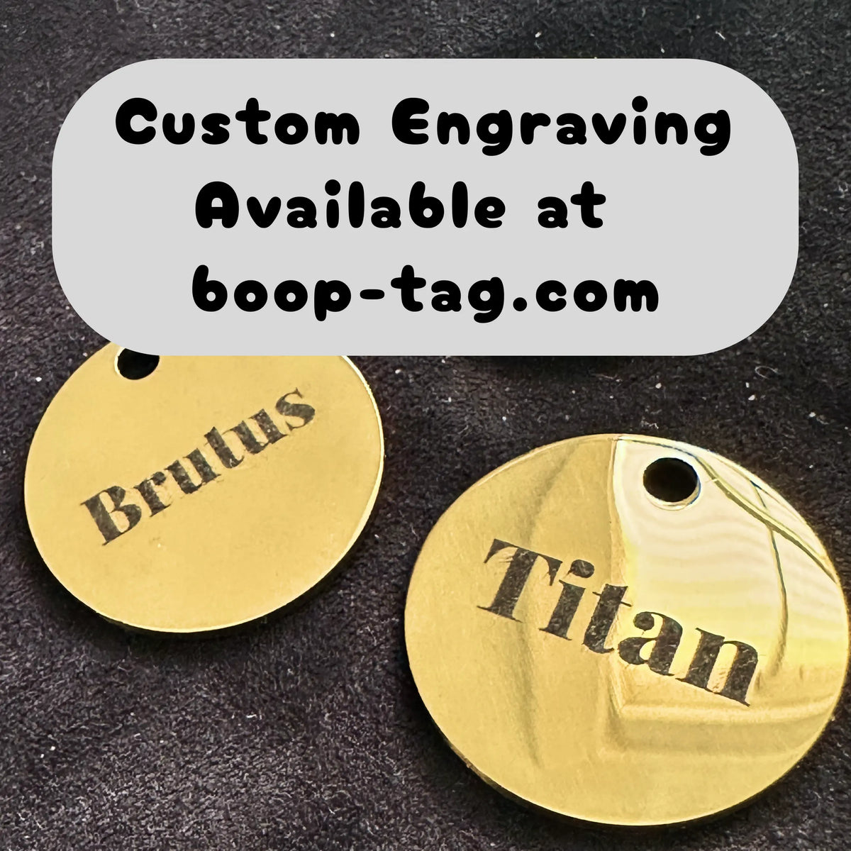 Boop Tag - Stainless Steel, Smart Qr Pet Tag
