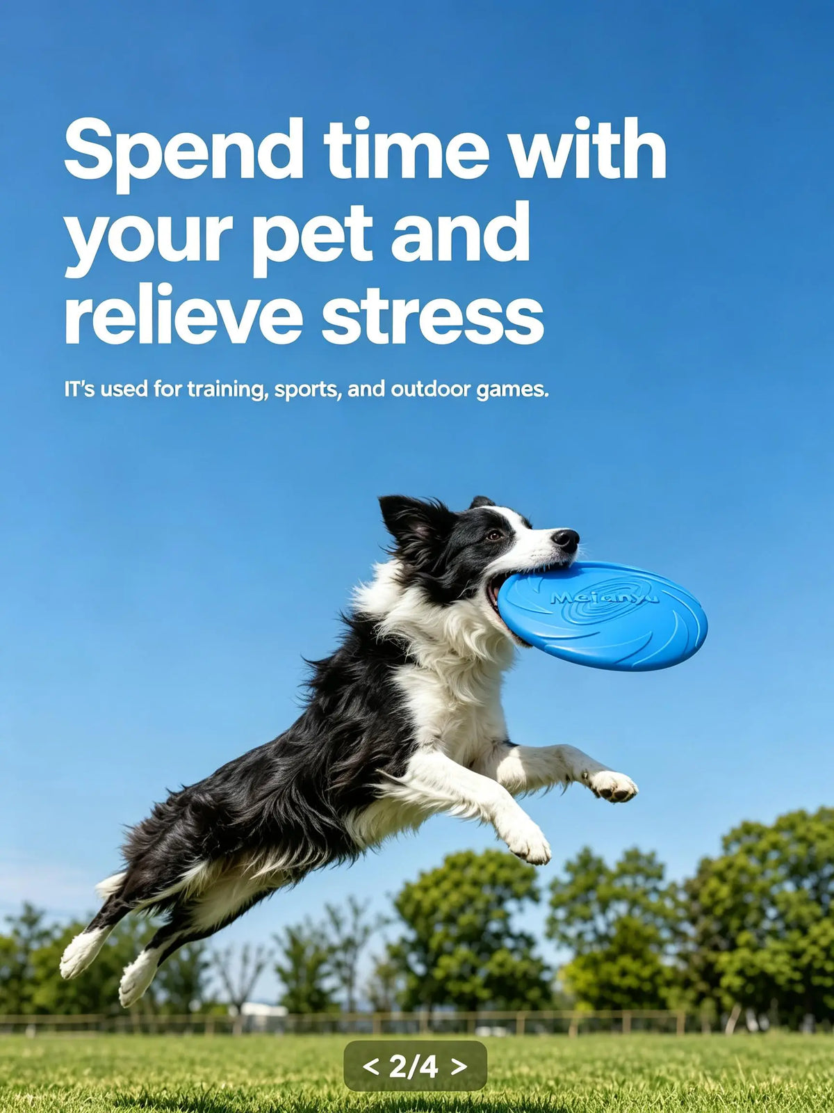 Dog Frisbee Toy, Dog Flying Disc for Medium & Large Dogs, Interactive Fetch Toy, Outdoor Training Toy, TPR Dog Toy